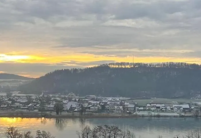 Rheinblick 2 * ヴァルツフート＝ティンゲン